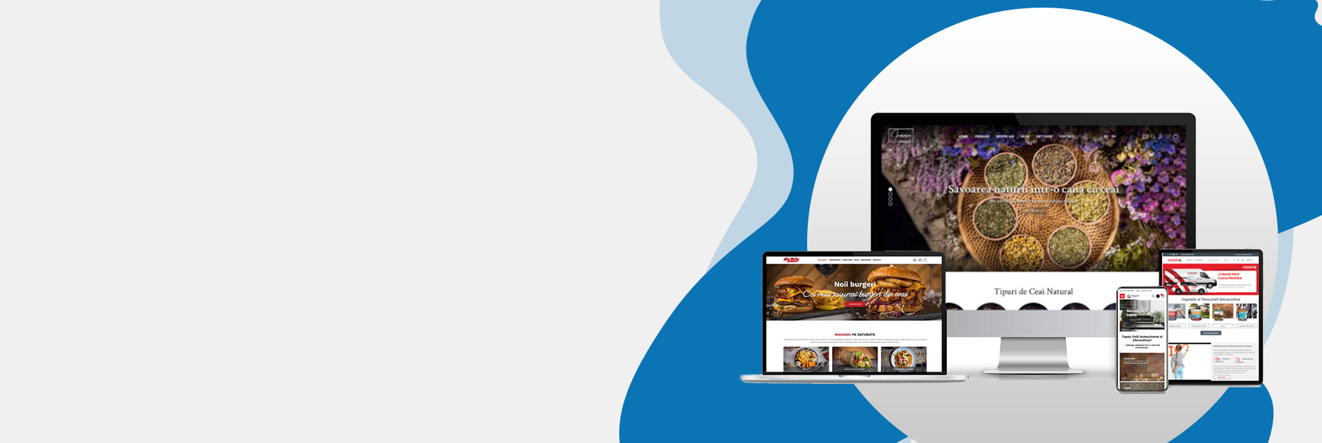 Site-uri si Aplicatii cu administrare, Magazine online, Portaluri Web, Platforme B2B, Aplicatii Android IOS, Promovare pe internet SEO, Promovare si Intretinere si Gazduire